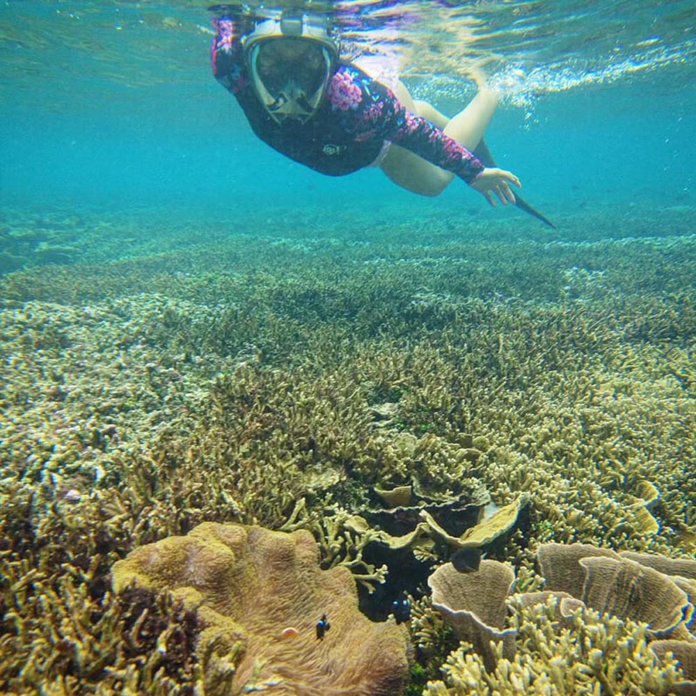professional-snorkeling-siargao