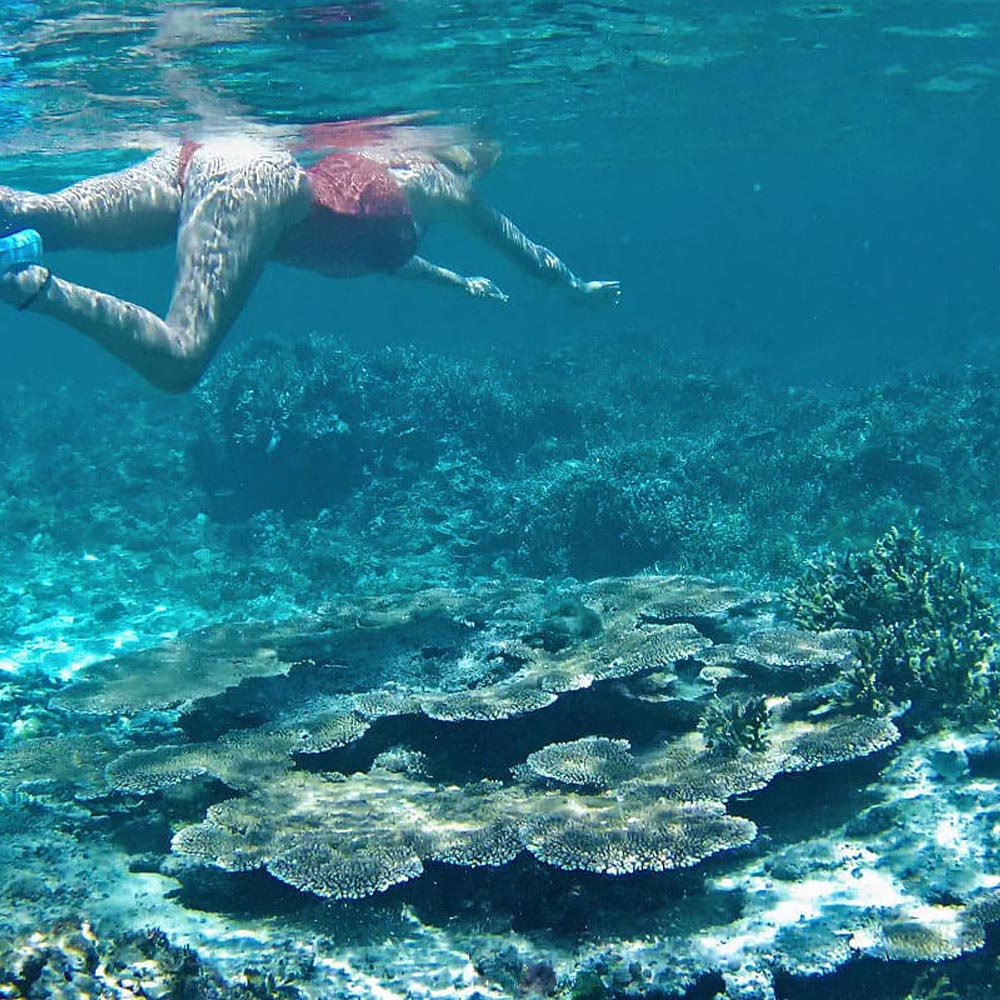 siargao-snorkeling