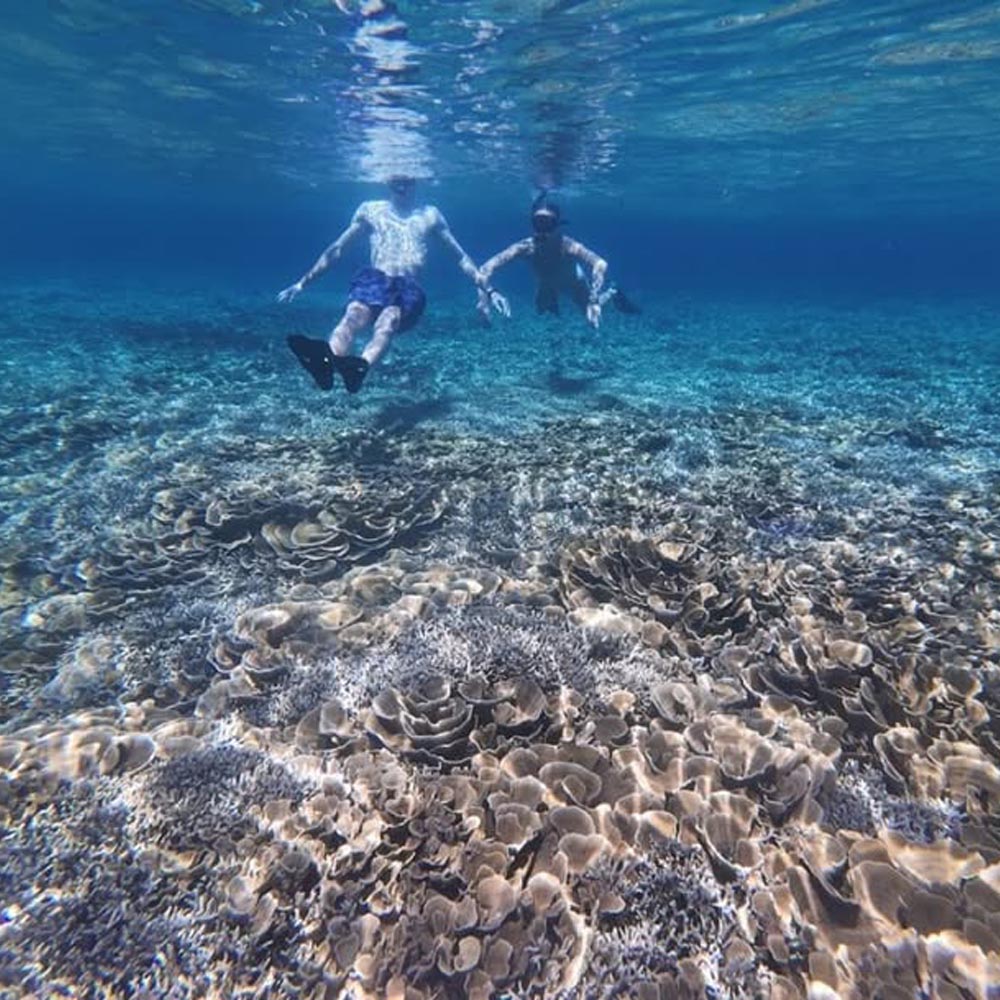 snorkel-tour-siargao-island