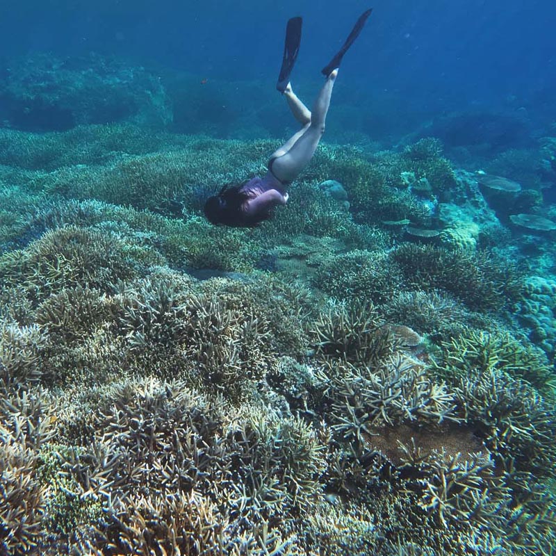 surf-shop-siargao
