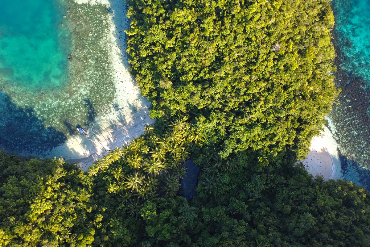 private-sohoton-sped-boat-tour