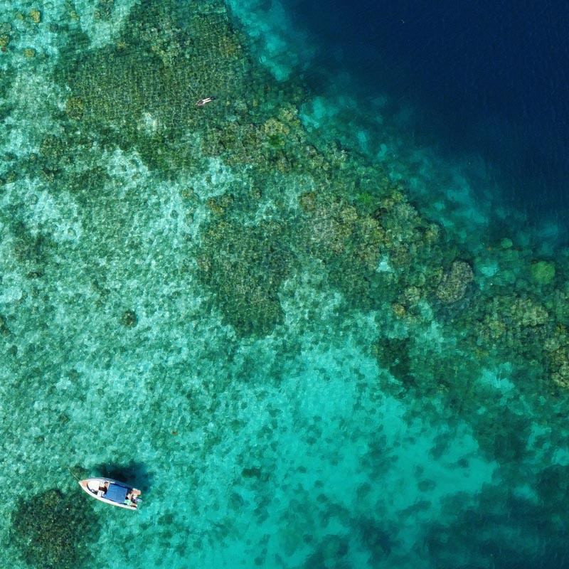 siargao-snorkeling-private
