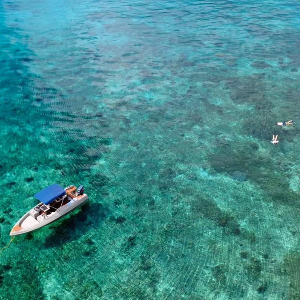 mangrove-siargao-tour2