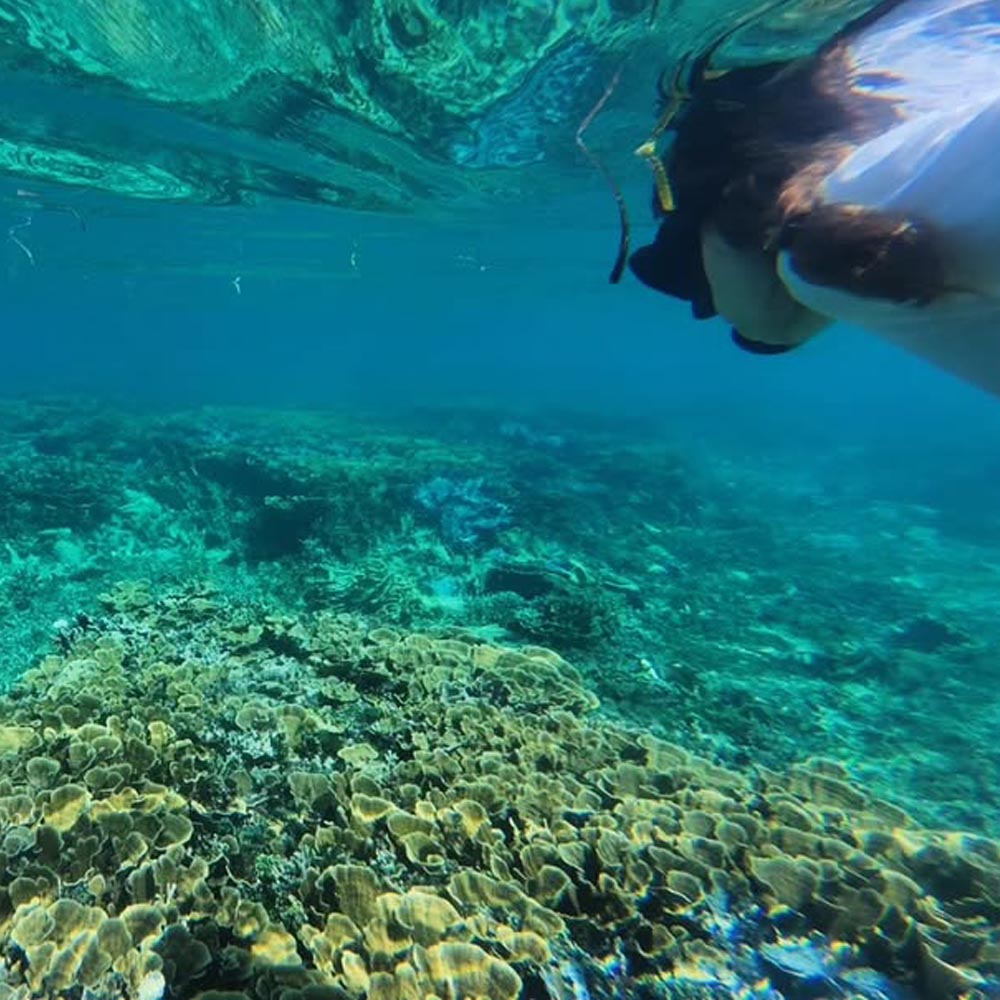 mangrove-siargao-tour3