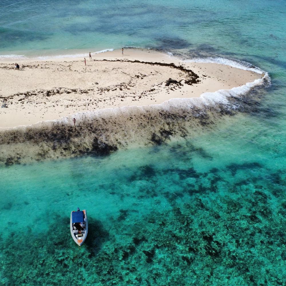 siargao-tours-snorkel2
