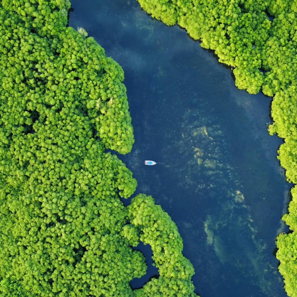 siargao-tours-snorkeling2