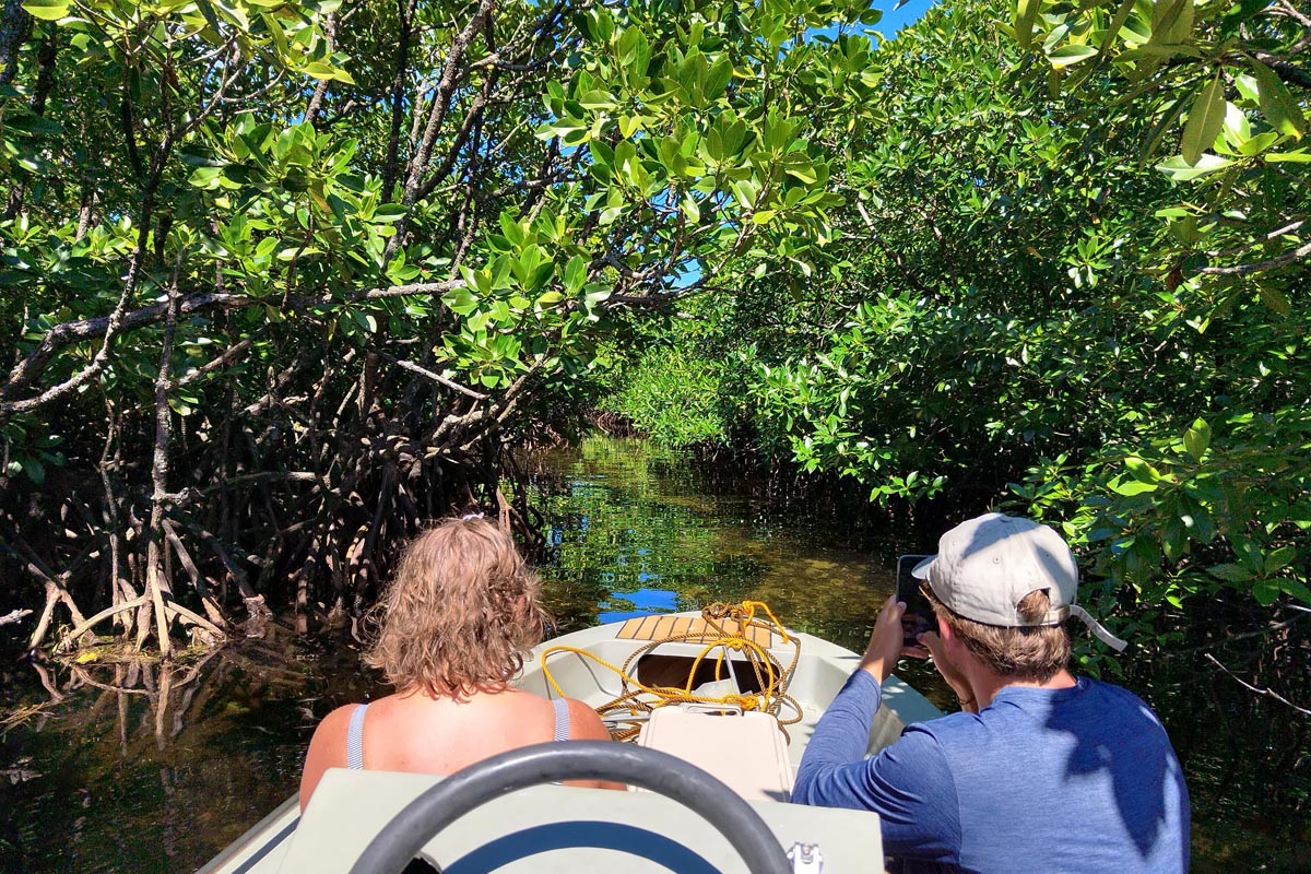 mangrove-exploration-siargao