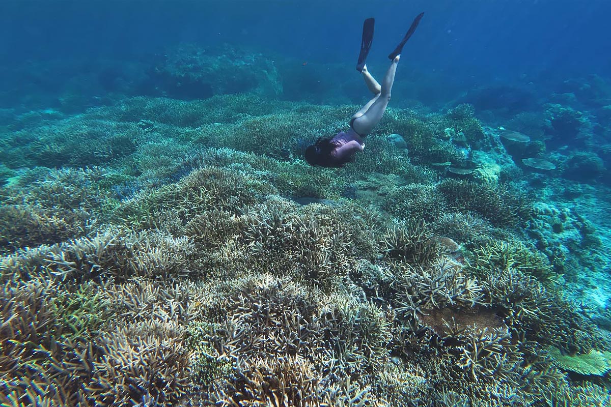 snorkeling-siargao-trips